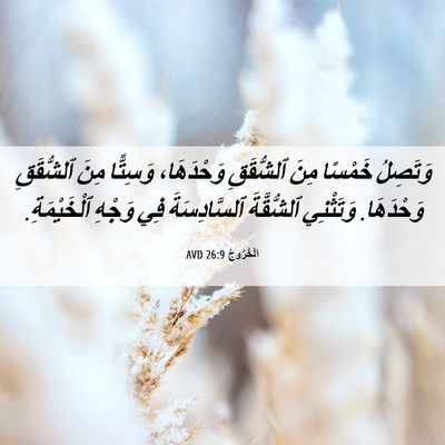 Picture 06 - اَلْخُرُوجُ 26:9 AVD - وَتَصِلُ خَمْسًا مِنَ - Bible Verse Picture