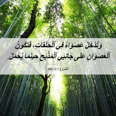 Picture 06 - اَلْخُرُوجُ 27:7 AVD - وَتُدْخَلُ عَصَوَاهُ فِي - Bible Verse Picture