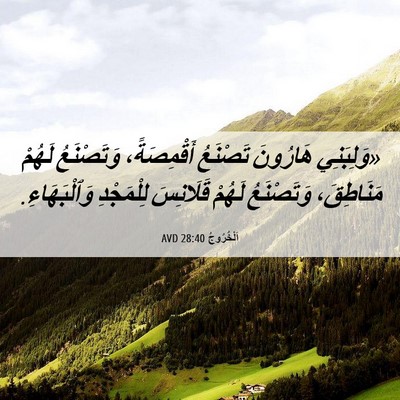 Picture 06 - اَلْخُرُوجُ 28:40 AVD - «وَلِبَنِي هَارُونَ - Bible Verse Picture