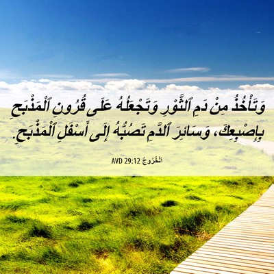 Picture 06 - اَلْخُرُوجُ 29:12 AVD - وَتَأْخُذُ مِنْ دَمِ - Bible Verse Picture