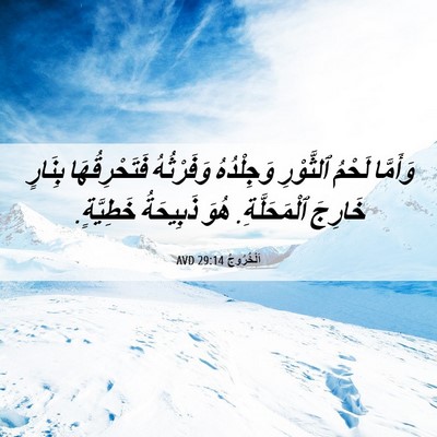 Picture 06 - اَلْخُرُوجُ 29:14 AVD - وَأَمَّا لَحْمُ ٱلثَّوْرِ - Bible Verse Picture