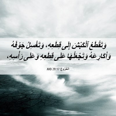 Picture 06 - اَلْخُرُوجُ 29:17 AVD - وَتَقْطَعُ ٱلْكَبْشَ - Bible Verse Picture