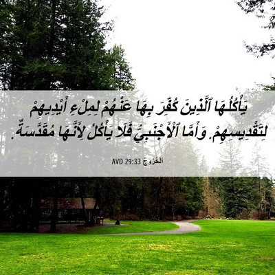 Picture 06 - اَلْخُرُوجُ 29:33 AVD - يَأْكُلُهَا ٱلَّذِينَ - Bible Verse Picture