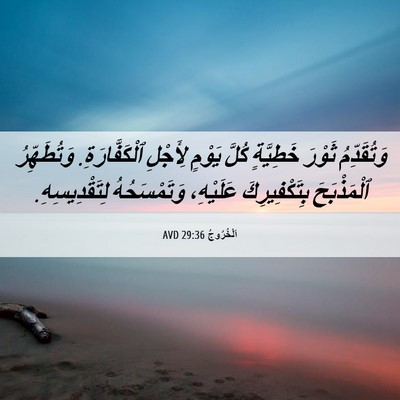 Picture 06 - اَلْخُرُوجُ 29:36 AVD - وَتُقَدِّمُ ثَوْرَ - Bible Verse Picture