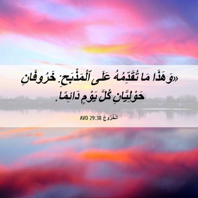 Picture 06 - اَلْخُرُوجُ 29:38 AVD - «وَهَذَا مَا تُقَدِّمُهُ - Bible Verse Picture