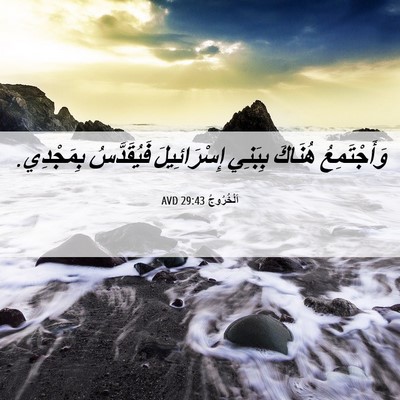 Picture 06 - اَلْخُرُوجُ 29:43 AVD - وَأَجْتَمِعُ هُنَاكَ - Bible Verse Picture