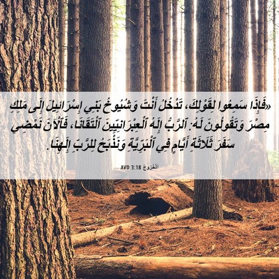 Picture 06 - اَلْخُرُوجُ 3:18 AVD - «فَإِذَا سَمِعُوا - Bible Verse Picture