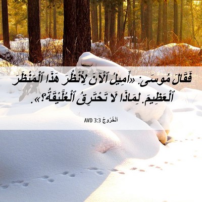 Picture 06 - اَلْخُرُوجُ 3:3 AVD - فَقَالَ مُوسَى: «أَمِيلُ - Bible Verse Picture