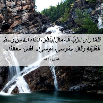 Picture 06 - اَلْخُرُوجُ 3:4 AVD - فَلَمَّا رَأَى ٱلرَّبُّ - Bible Verse Picture
