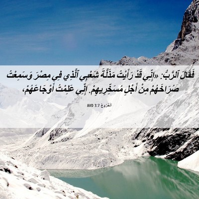 Picture 06 - اَلْخُرُوجُ 3:7 AVD - فَقَالَ ٱلرَّبُّ: «إِنِّي - Bible Verse Picture