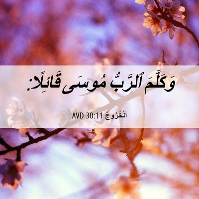 Picture 06 - اَلْخُرُوجُ 30:11 AVD - وَكَلَّمَ ٱلرَّبُّ مُوسَى - Bible Verse Picture