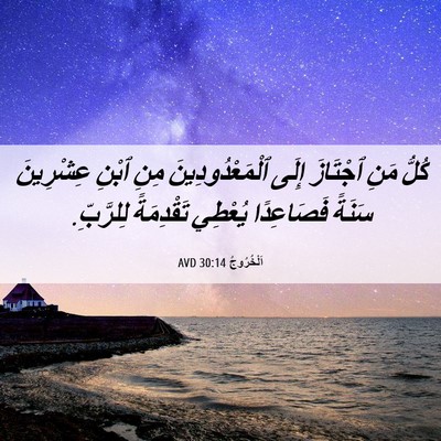 Picture 06 - اَلْخُرُوجُ 30:14 AVD - كُلُّ مَنِ ٱجْتَازَ إِلَى - Bible Verse Picture