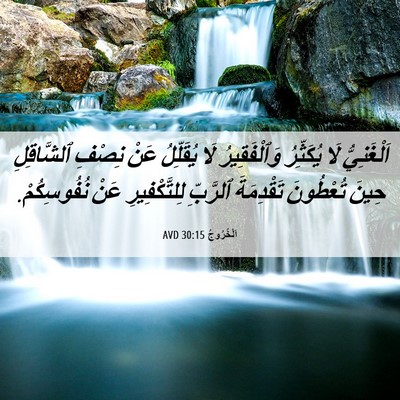 Picture 06 - اَلْخُرُوجُ 30:15 AVD - اَلْغَنِيُّ لَا يُكَثِّرُ - Bible Verse Picture