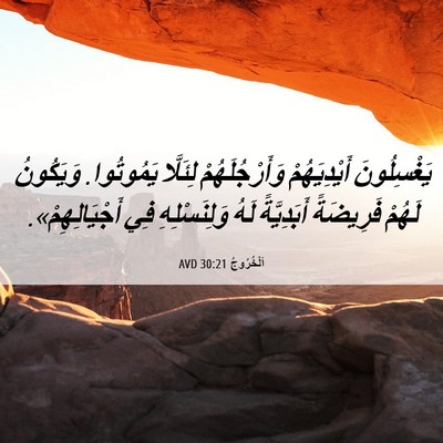 Picture 06 - اَلْخُرُوجُ 30:21 AVD - يَغْسِلُونَ أَيْدِيَهُمْ - Bible Verse Picture