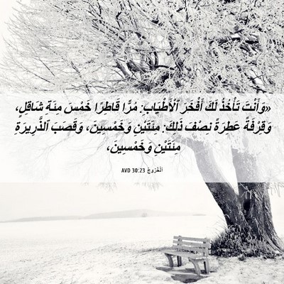 Picture 06 - اَلْخُرُوجُ 30:23 AVD - «وَأَنْتَ تَأْخُذُ لَكَ - Bible Verse Picture