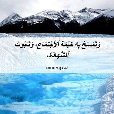 Picture 06 - اَلْخُرُوجُ 30:26 AVD - وَتَمْسَحُ بِهِ خَيْمَةَ - Bible Verse Picture