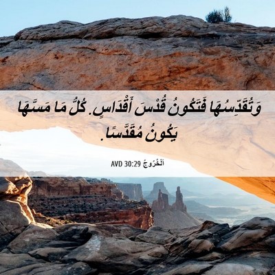 Picture 06 - اَلْخُرُوجُ 30:29 AVD - وَتُقَدِّسُهَا فَتَكُونُ - Bible Verse Picture