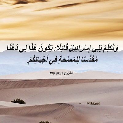 Picture 06 - اَلْخُرُوجُ 30:31 AVD - وَتُكَلِّمُ بَنِي - Bible Verse Picture