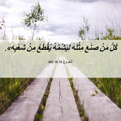 Picture 06 - اَلْخُرُوجُ 30:38 AVD - كُلُّ مَنْ صَنَعَ مِثْلَهُ - Bible Verse Picture