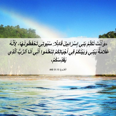 Picture 06 - اَلْخُرُوجُ 31:13 AVD - «وَأَنْتَ تُكَلِّمُ بَنِي - Bible Verse Picture
