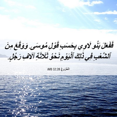 Picture 06 - اَلْخُرُوجُ 32:28 AVD - فَفَعَلَ بَنُو لَاوِي - Bible Verse Picture