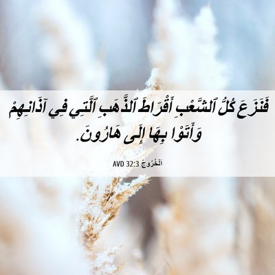 Picture 06 - اَلْخُرُوجُ 32:3 AVD - فَنَزَعَ كُلُّ ٱلشَّعْبِ - Bible Verse Picture