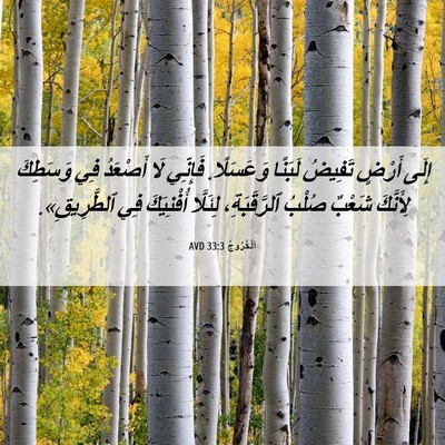 Picture 06 - اَلْخُرُوجُ 33:3 AVD - إِلَى أَرْضٍ تَفِيضُ - Bible Verse Picture