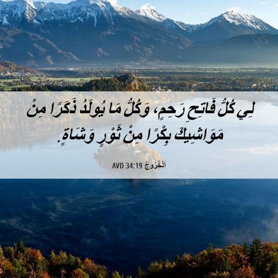 Picture 06 - اَلْخُرُوجُ 34:19 AVD - لِي كُلُّ فَاتِحِ رَحِمٍ، - Bible Verse Picture