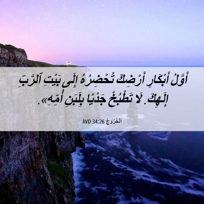 Picture 06 - اَلْخُرُوجُ 34:26 AVD - أَوَّلُ أَبْكَارِ - Bible Verse Picture