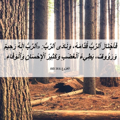 Picture 06 - اَلْخُرُوجُ 34:6 AVD - فَٱجْتَازَ ٱلرَّبُّ - Bible Verse Picture