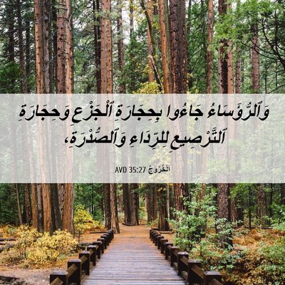 Picture 06 - اَلْخُرُوجُ 35:27 AVD - وَٱلرُّؤَسَاءُ جَاءُوا - Bible Verse Picture