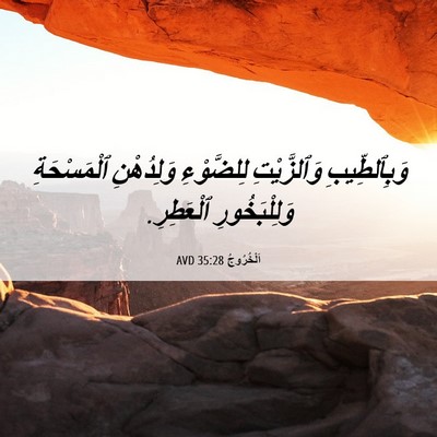 Picture 06 - اَلْخُرُوجُ 35:28 AVD - وَبِٱلطِّيبِ وَٱلزَّيْتِ - Bible Verse Picture