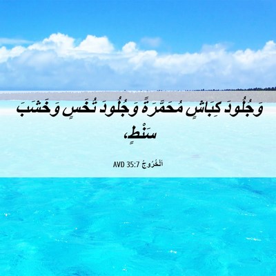 Picture 06 - اَلْخُرُوجُ 35:7 AVD - وَجُلُودَ كِبَاشٍ - Bible Verse Picture