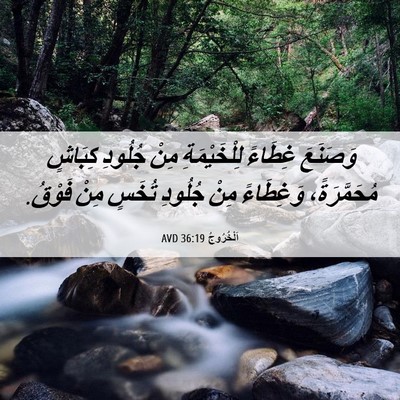 Picture 06 - اَلْخُرُوجُ 36:19 AVD - وَصَنَعَ غِطَاءً - Bible Verse Picture