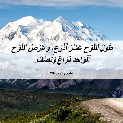 Picture 06 - اَلْخُرُوجُ 36:21 AVD - طُولُ ٱللَّوْحِ عَشْرُ - Bible Verse Picture