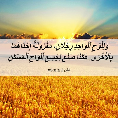 Picture 06 - اَلْخُرُوجُ 36:22 AVD - وَلِلَّوْحِ ٱلْوَاحِدِ - Bible Verse Picture