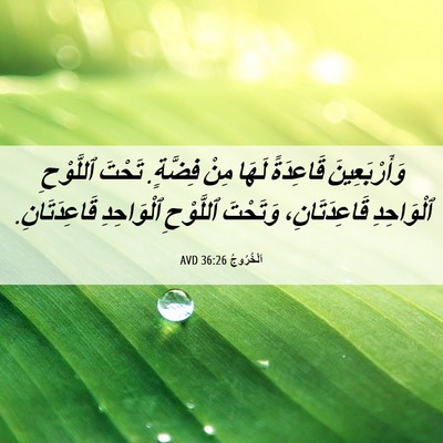 Picture 06 - اَلْخُرُوجُ 36:26 AVD - وَأَرْبَعِينَ قَاعِدَةً - Bible Verse Picture