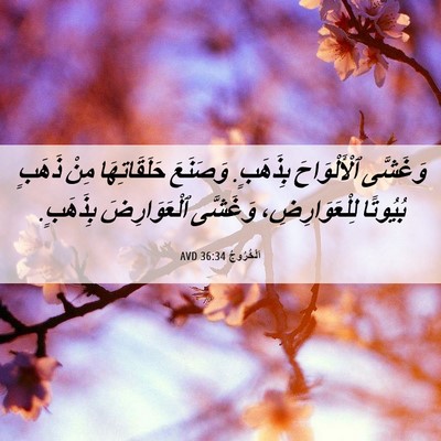 Picture 06 - اَلْخُرُوجُ 36:34 AVD - وَغَشَّى ٱلْأَلْوَاحَ - Bible Verse Picture