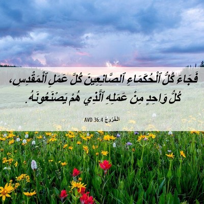 Picture 06 - اَلْخُرُوجُ 36:4 AVD - فَجَاءَ كُلُّ - Bible Verse Picture
