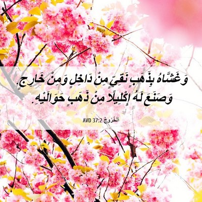 Picture 06 - اَلْخُرُوجُ 37:2 AVD - وَغَشَّاهُ بِذَهَبٍ - Bible Verse Picture