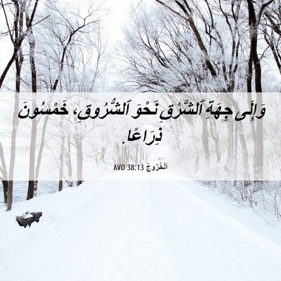 Picture 06 - اَلْخُرُوجُ 38:13 AVD - وَإِلَى جِهَةِ ٱلشَّرْقِ - Bible Verse Picture