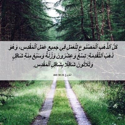 Picture 06 - اَلْخُرُوجُ 38:24 AVD - كُلُّ ٱلذَّهَبِ - Bible Verse Picture