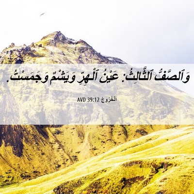 Picture 06 - اَلْخُرُوجُ 39:12 AVD - وَٱلصَّفُّ ٱلثَّالِثُ: - Bible Verse Picture