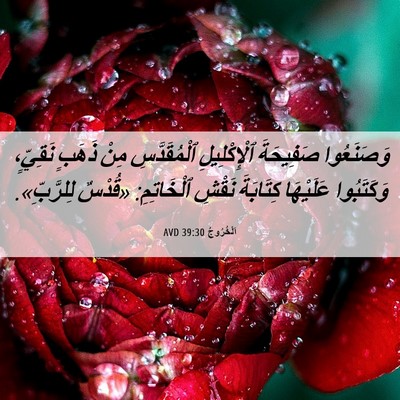 Picture 06 - اَلْخُرُوجُ 39:30 AVD - وَصَنَعُوا صَفِيحَةَ - Bible Verse Picture