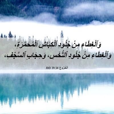 Picture 06 - اَلْخُرُوجُ 39:34 AVD - وَٱلْغِطَاءِ مِنْ جُلُودِ - Bible Verse Picture