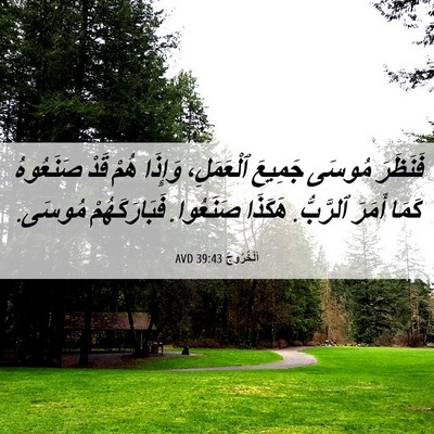 Picture 06 - اَلْخُرُوجُ 39:43 AVD - فَنَظَرَ مُوسَى جَمِيعَ - Bible Verse Picture