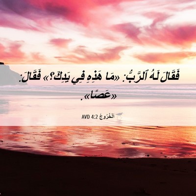 Picture 06 - اَلْخُرُوجُ 4:2 AVD - فَقَالَ لَهُ ٱلرَّبُّ: - Bible Verse Picture