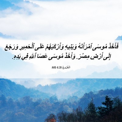 Picture 06 - اَلْخُرُوجُ 4:20 AVD - فَأَخَذَ مُوسَى - Bible Verse Picture