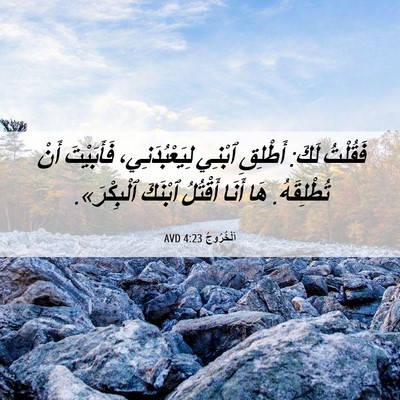Picture 06 - اَلْخُرُوجُ 4:23 AVD - فَقُلْتُ لَكَ: أَطْلِقِ - Bible Verse Picture