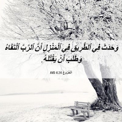 Picture 06 - اَلْخُرُوجُ 4:24 AVD - وَحَدَثَ فِي ٱلطَّرِيقِ - Bible Verse Picture